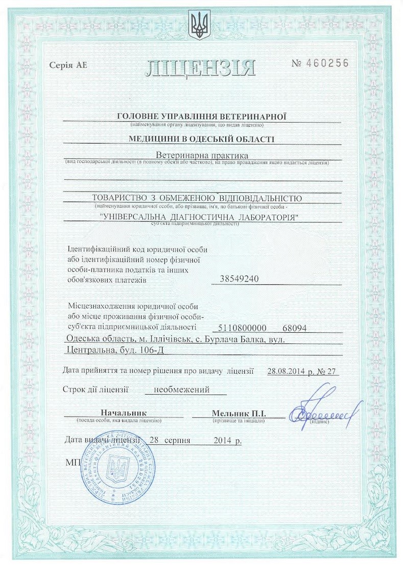 Ліцензія