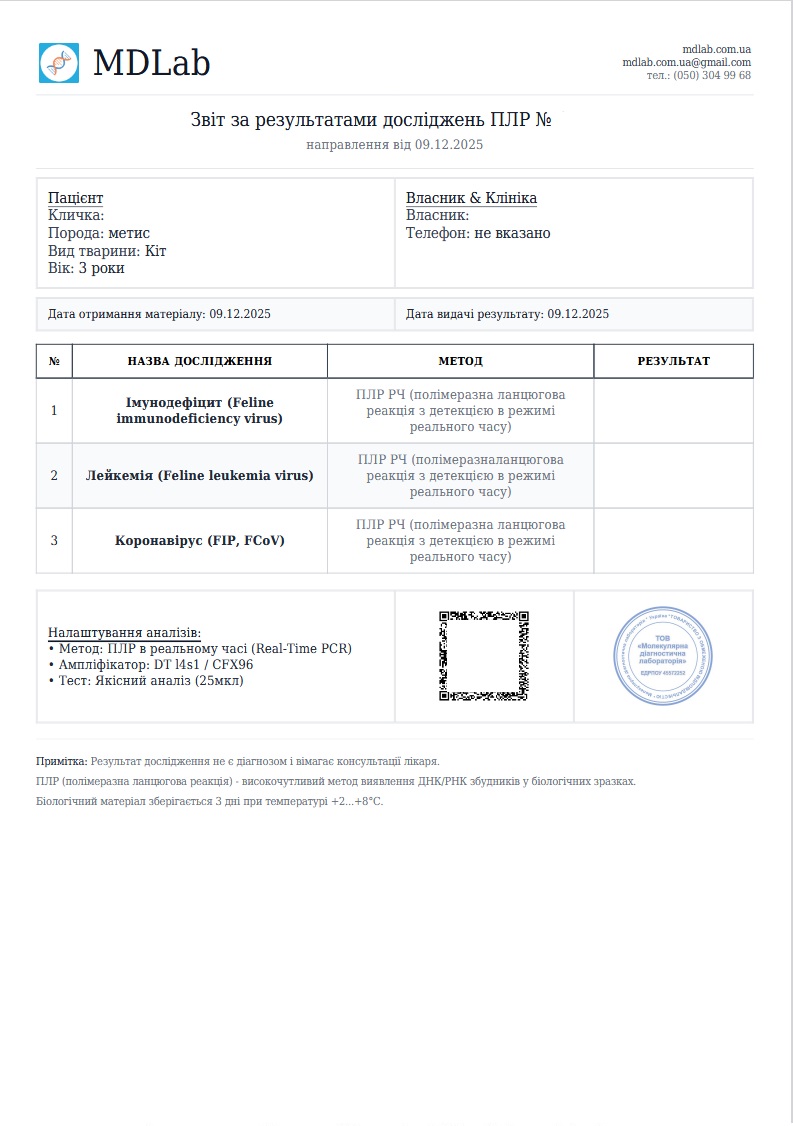 Електронний звіт