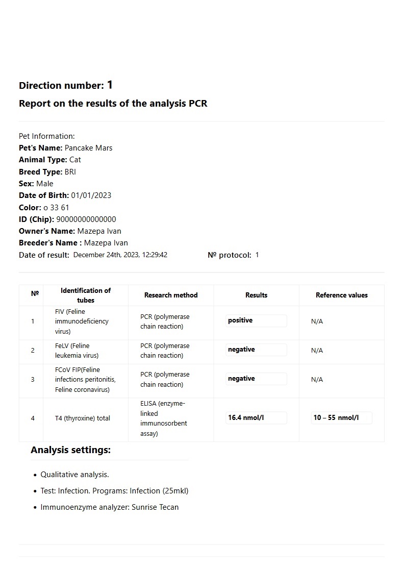 Друкований звіт